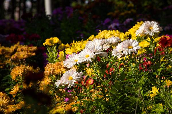 image061.jpg