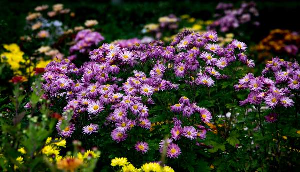 image047.jpg